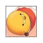 初心者しゃん