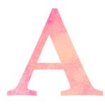 アカシアキカズ