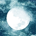 userPhoto