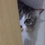 userPhoto