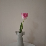userPhoto