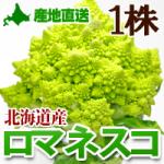 口マネスコ青たむ