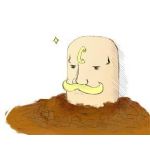 斑凡人