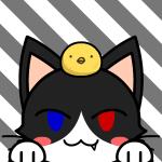 userPhoto