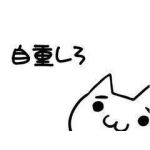 もけもけ一等兵