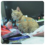 userPhoto