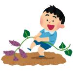 おいも幼稚園