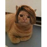 ぜろきゅー