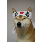 yasushi