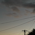 userPhoto