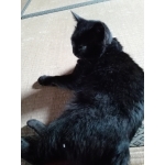 userPhoto