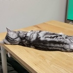 ろっぴー