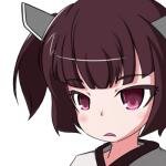 所縁フリカケ