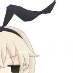 セキ。