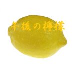 午後の檸檬