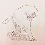 おーり