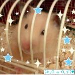 やすくん