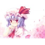 アイヴィス