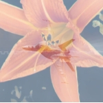 Lux