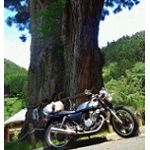 userPhoto