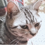 userPhoto
