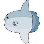 まんぼぅ