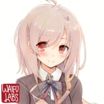 userPhoto