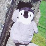 userPhoto