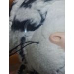 セイギ。