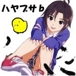 ハヤブサｂ