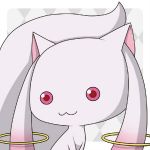 ぷらす