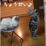 レオ★ララ