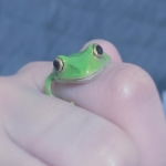 ユーザー画像