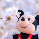 おからちゃん