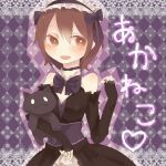 あかねこ