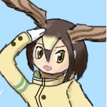 さざなみ