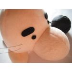 あめんぼ