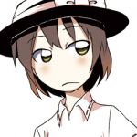 みたを