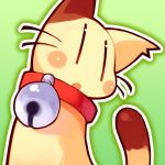 Pakki