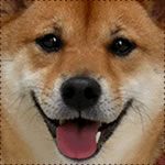 とことこ