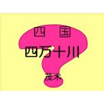 茂木　孔志