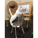 kt_catman