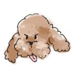 wan