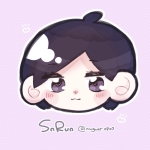 SnRun