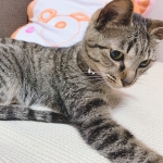 ユーザー画像