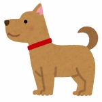 ふつうのポチ