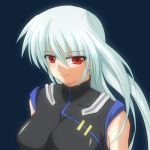 リィンフォース