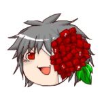 赤紫陽花