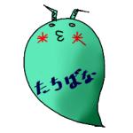 たちばな