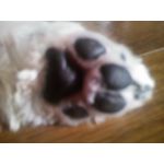 よー